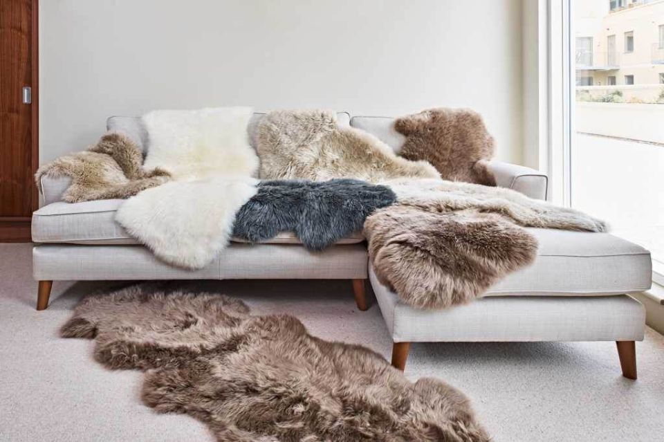 Дизайнерские шокеры: как не испортить интерьер