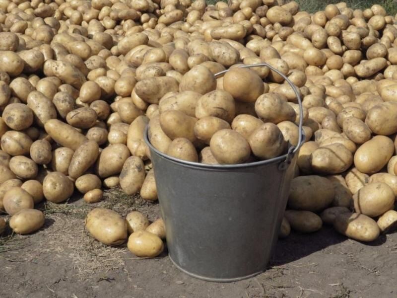 ��� ��������� ����� �� �����: ������ �� �������� ������