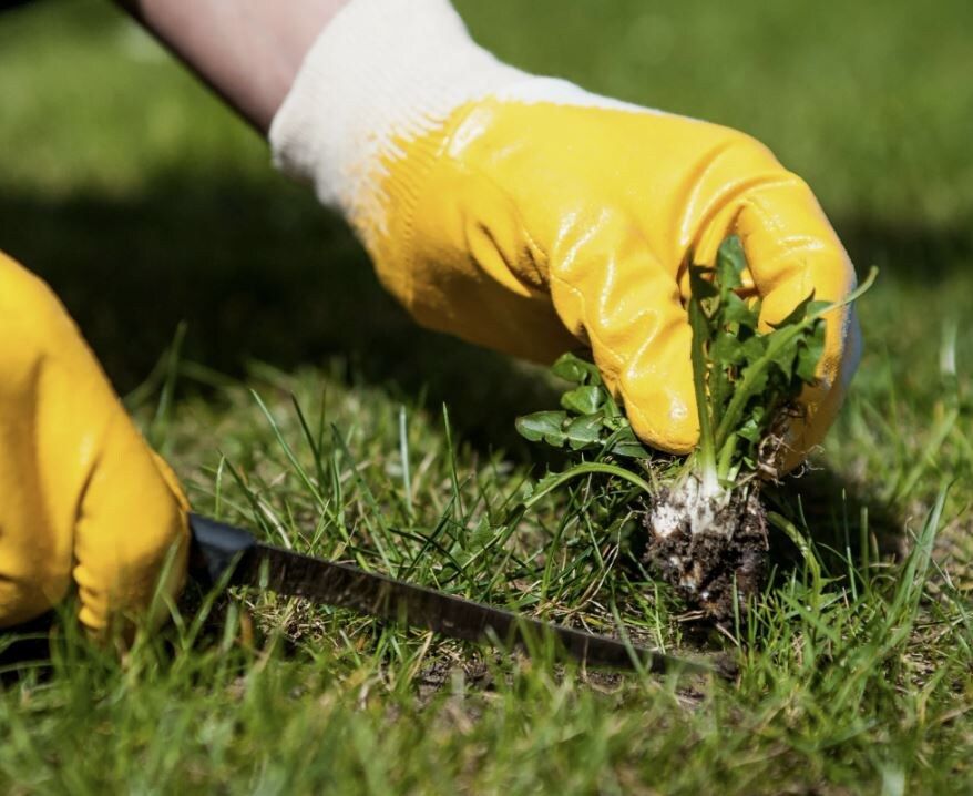 ��� ���������� ����� �������� ��� �����