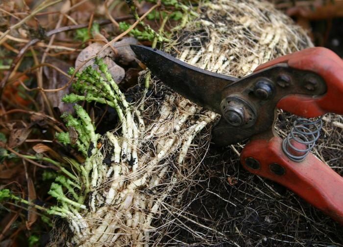 ��� �������� ������� ��� ������ ������ � ������