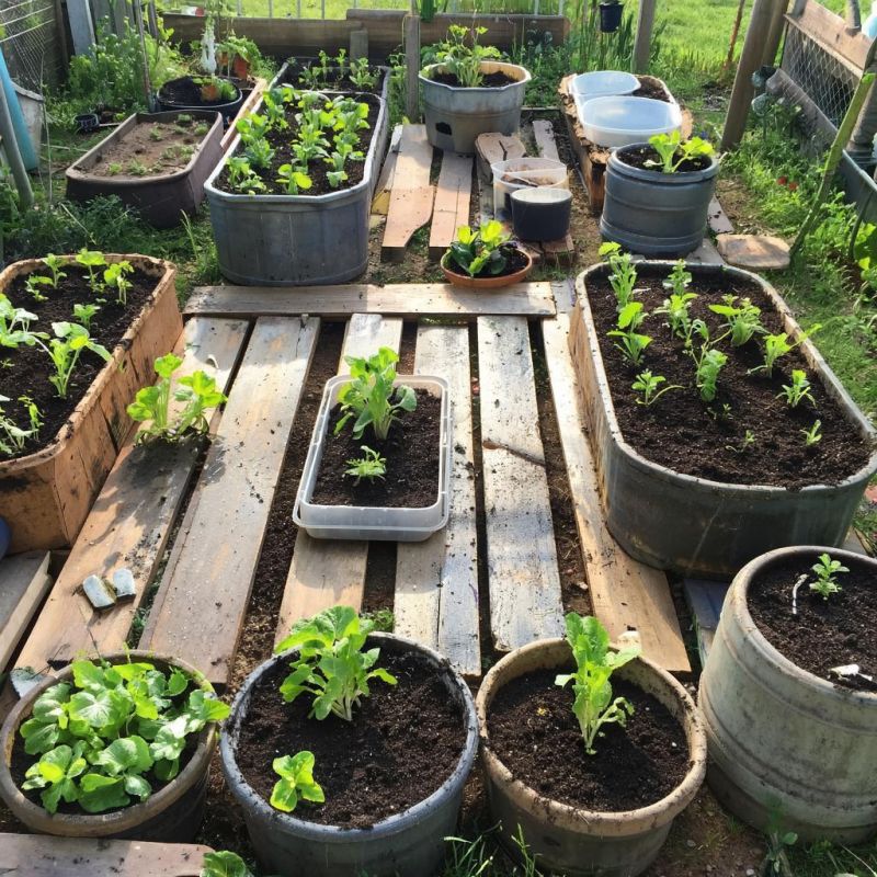 Грядки из доступных материалов: как создать идеальный огород без лишних трат