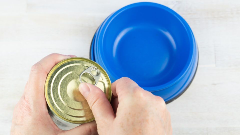 ����������� ��� �� �����������: ������� ���������� ����� ����� � ������