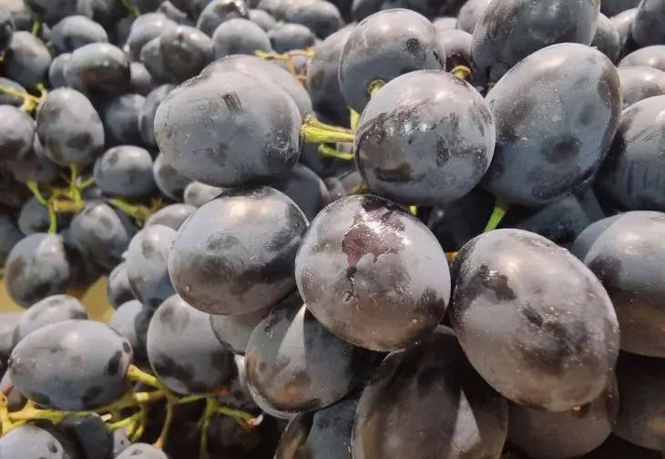 ��� �����, ���� ���� �������� ������ ����: ������ � ����� ��� ��������