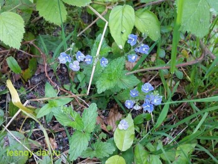 �������� � ����� ������