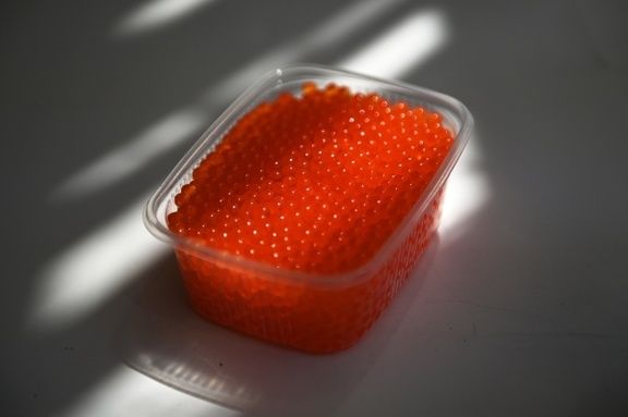 � ������� ���� ��������� ������� ������� ������� ��������