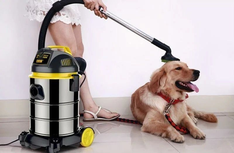 ��������� ������������� ��������: 8 �������� ������� ��� ������ ����