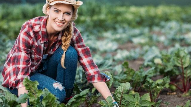 ��� ��������� ���������� ������ � ����: ������ �����������