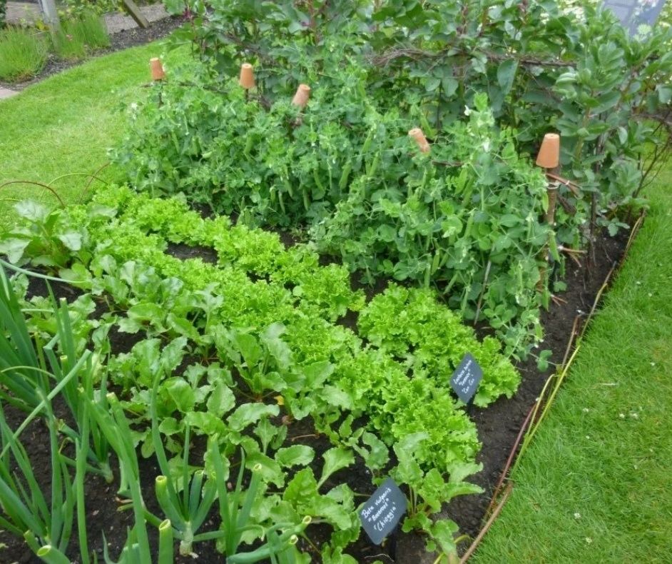 ���� � �������: ����� �������� �������� ��� ������� ������