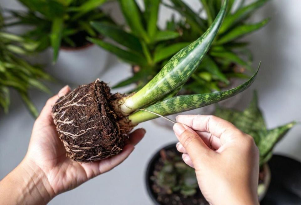 7 ��������, ������� �������� ����� � �������� � ��� ���