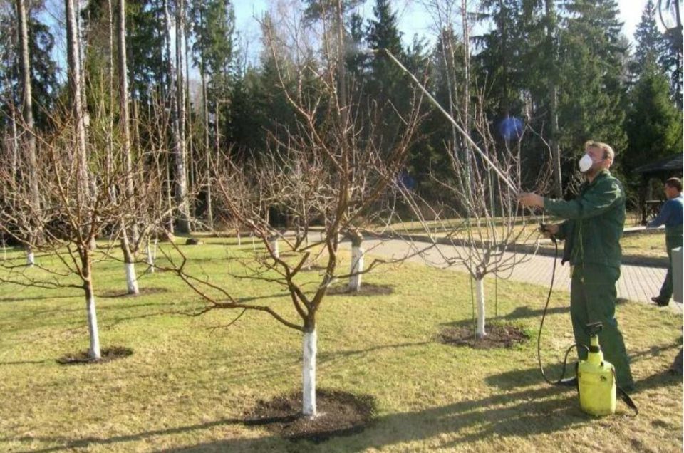 ��� ����������� ��� � ����: ������ �������� ��� ������� ���������