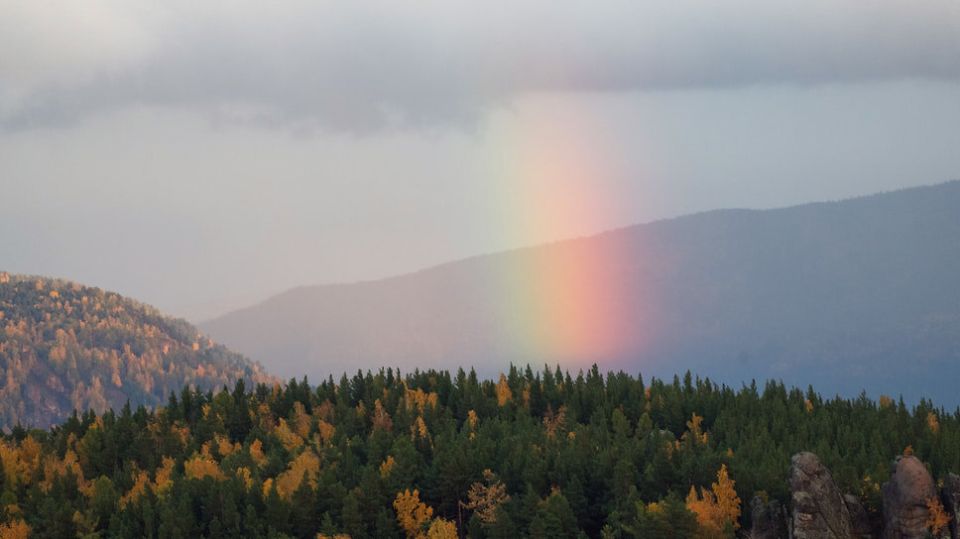 ������������� ������� ������� ������������ � ������� �� ������� �� �������� �������