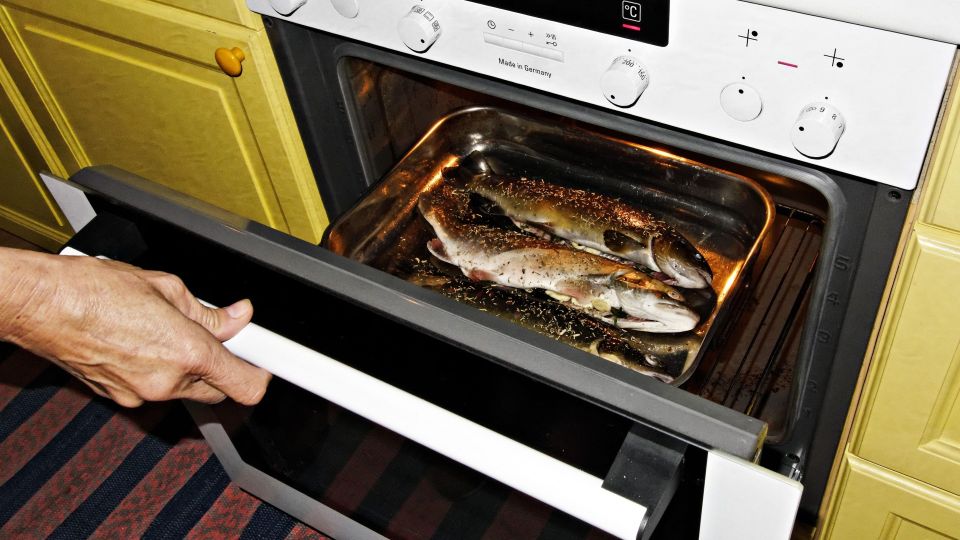 ����� ����� ���� �� ������� ��������� ����: ������� �������� �� �������