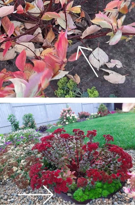 ��� ��������� ������� �� ��������� � ���� � ����?