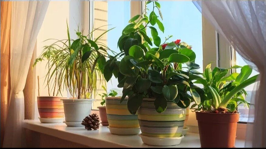 ����������� ��� �����: ������� ������ ������ � ����� 15 ��������� ��������