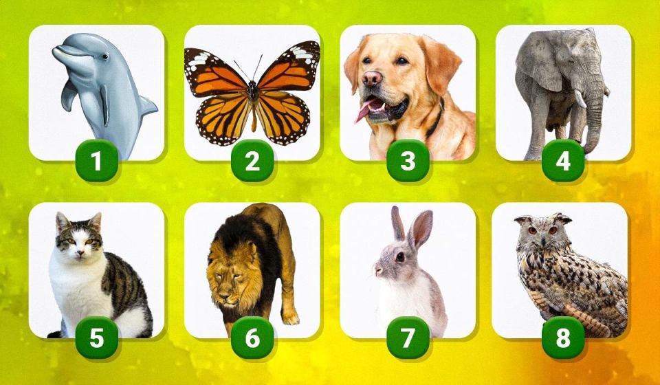 ��������������� ����, ������� ��������� � ����� �������� ��������