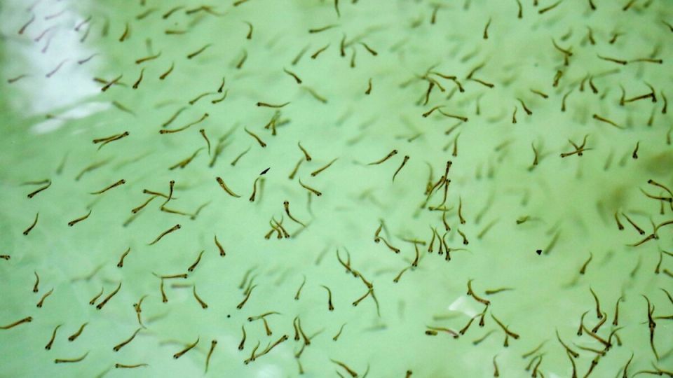 ���������� ����� ������� �������� ������� ��� ��������� ���