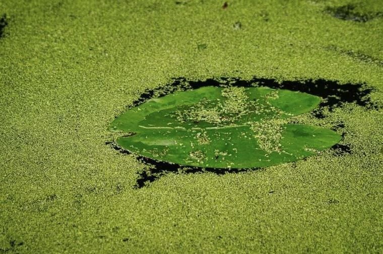 ����������� ������ ������ � ������ � ����� �����