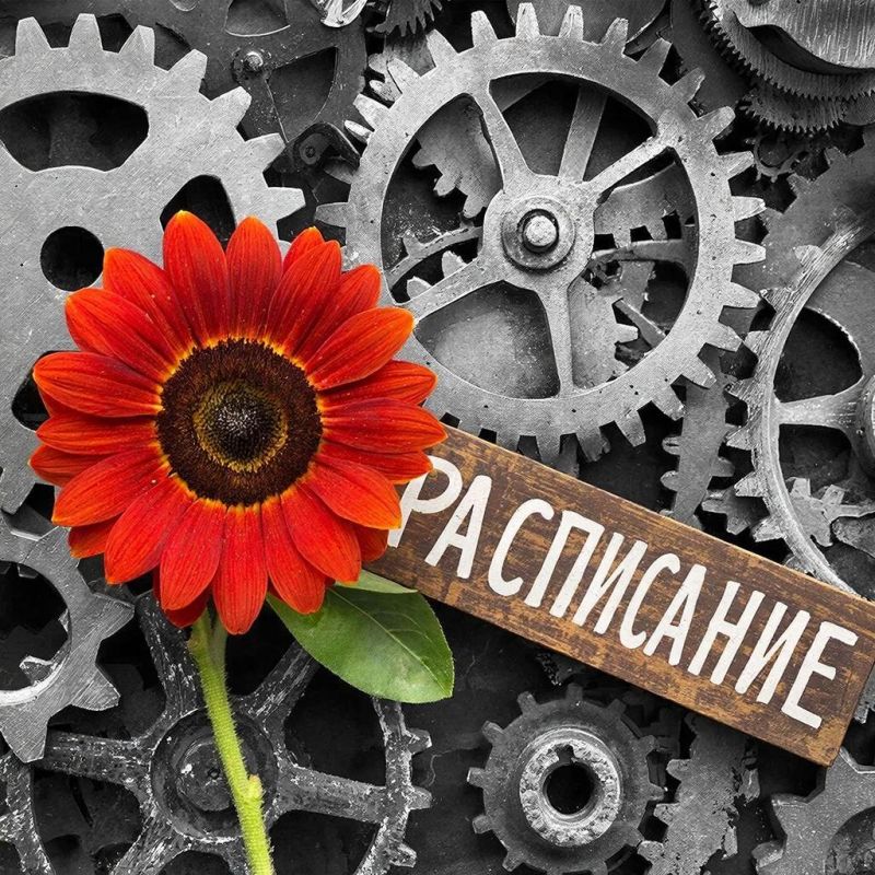 ����� �������: ���� ������� �������� ���, ��� ����� ��� �����