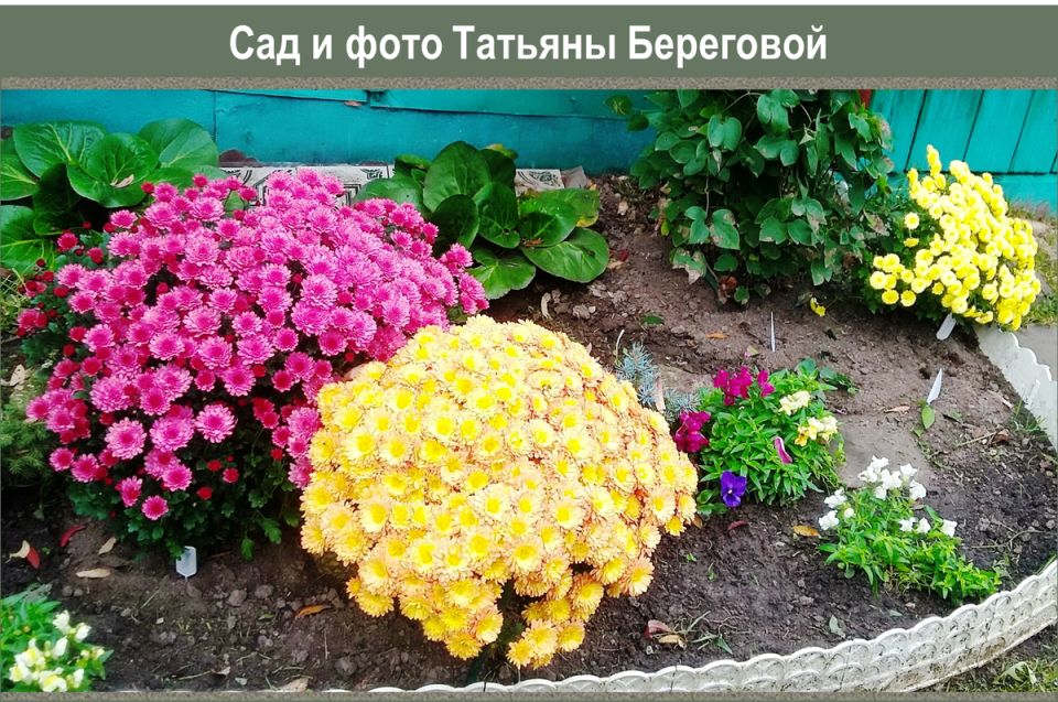 ������� ����� �� ������������: ������ �������� ��������