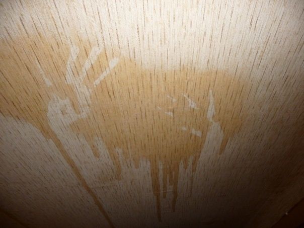 ���������� ����� �� �����: ������� � ������� ���������� ��������