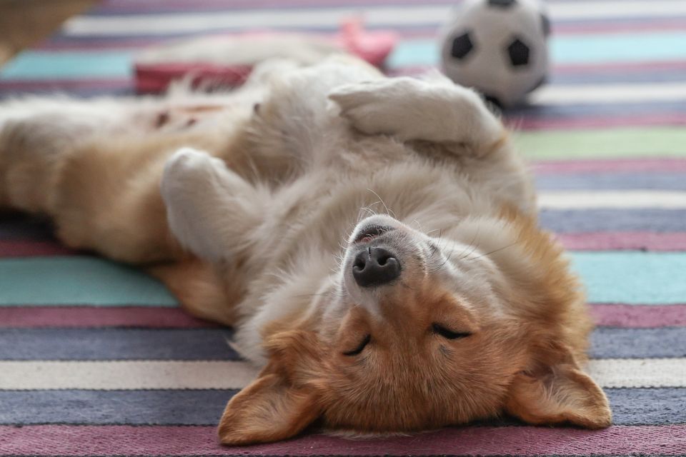 ��������� �������: ������� ������, ������� ������� ����������