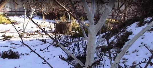 ��� ���������� ������� �������� �������� ���� ��������