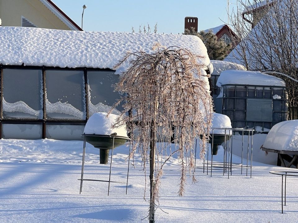 ���������� ����������� �� ������ � ����