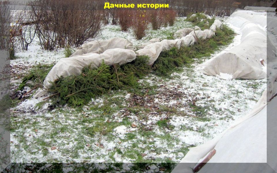 ��� ������ ���� �� ����: ������� ��������� ������� ��������