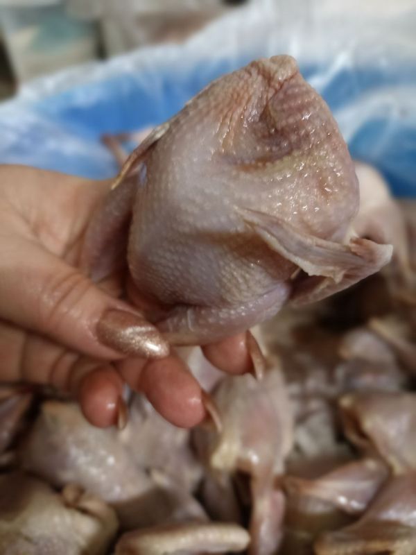 �� ����� ���������: ��� ���� � ���������� ������������ ����� ����������