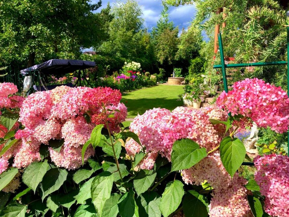 ��������� '���� ��������': ��� ������� ������� ����� � ����� ����