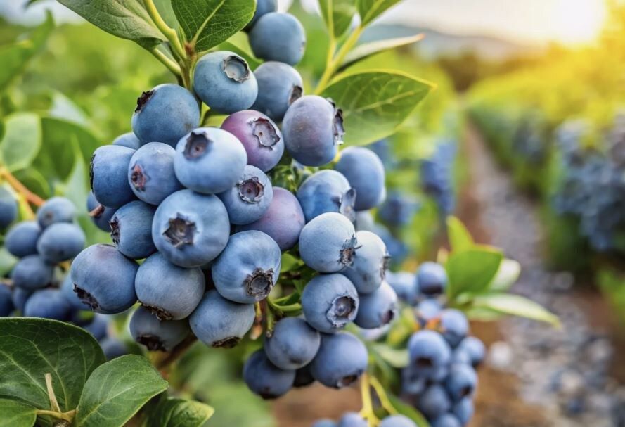 ������� ��������� ����� �� ��������� � ������ ������ ������