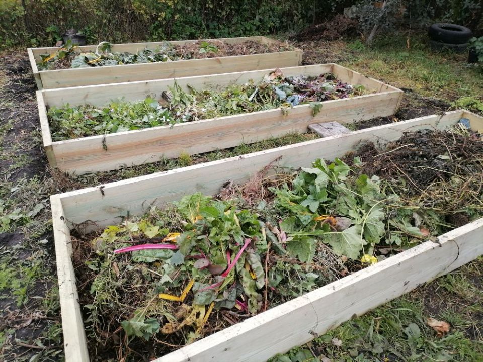 ��� ������� ��������� ������: ������� � ��������� ������� ��� ������ �������