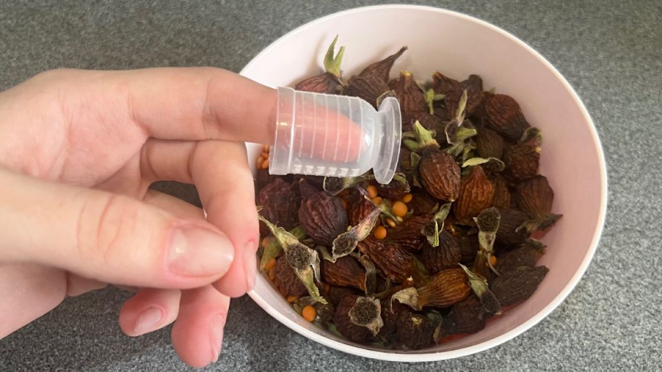 ������� ����� �������: ��� �� �������� ������ ������� ���������