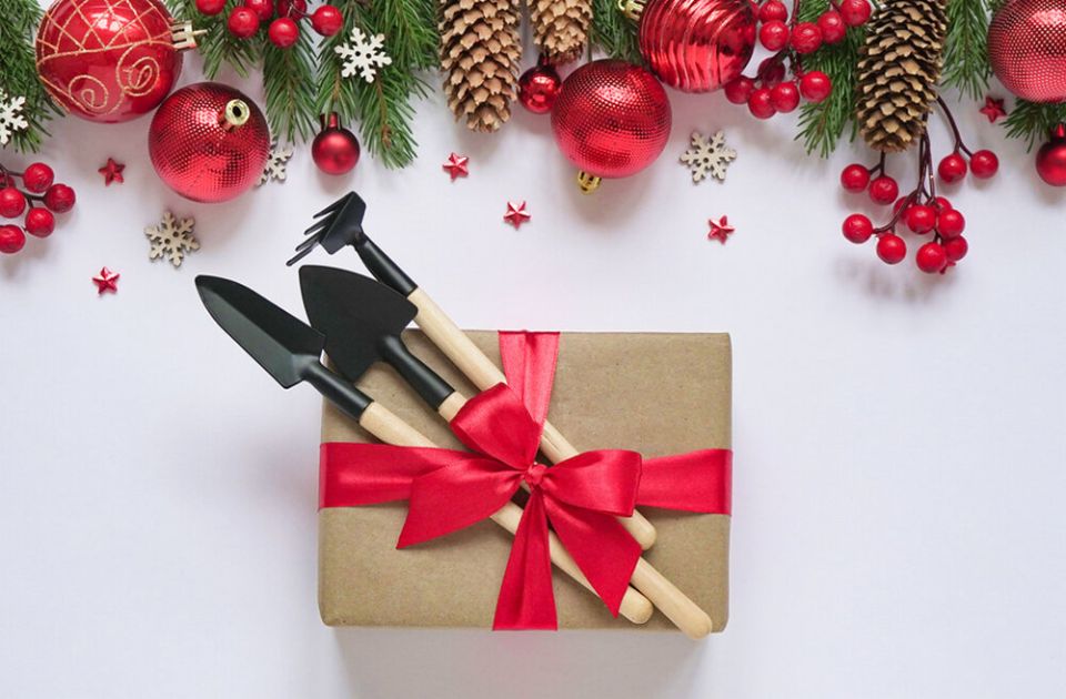 ��������� ������� ��� ��������: 14 ����, ������� �������� ��������� ����