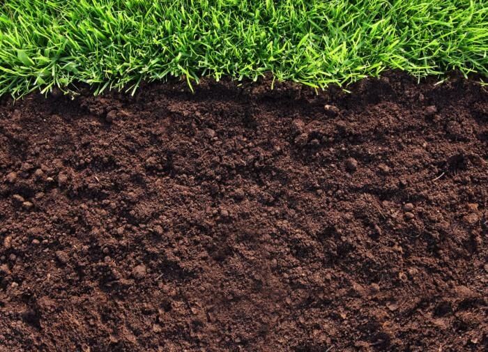 Не копайте осенью: 5 шокирующих причин остановиться с глубоким рыхлением почвы