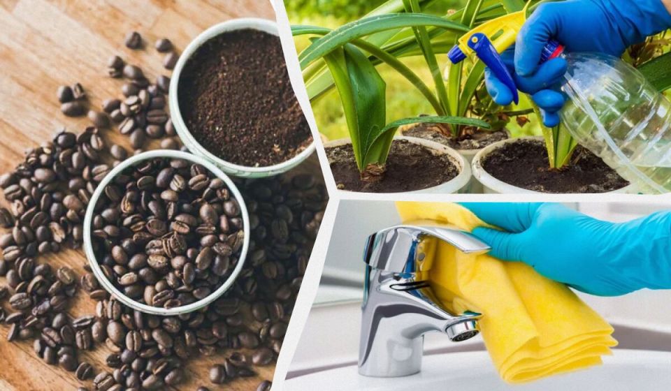 �� ������� ����������� �������� ����: 7 ������������ �������� � �������������