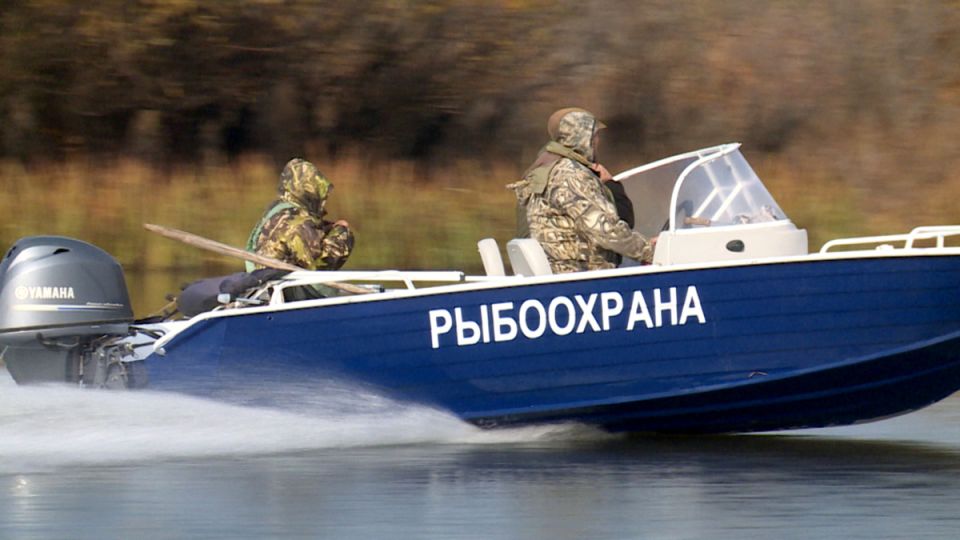 Секреты охраны рыбы: как новые законы спасут краснокнижные виды