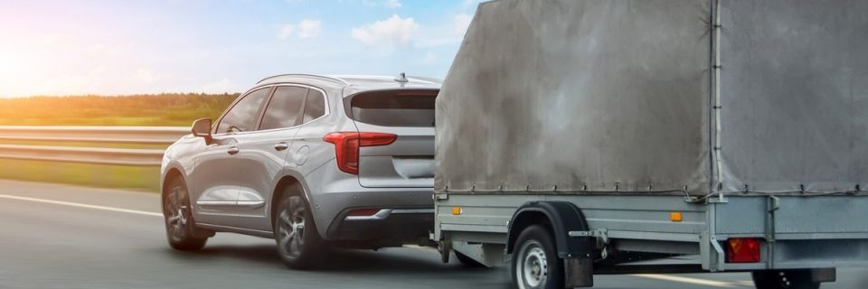 ����� �������� � ��������: 7 ������, ������� �� �� �����