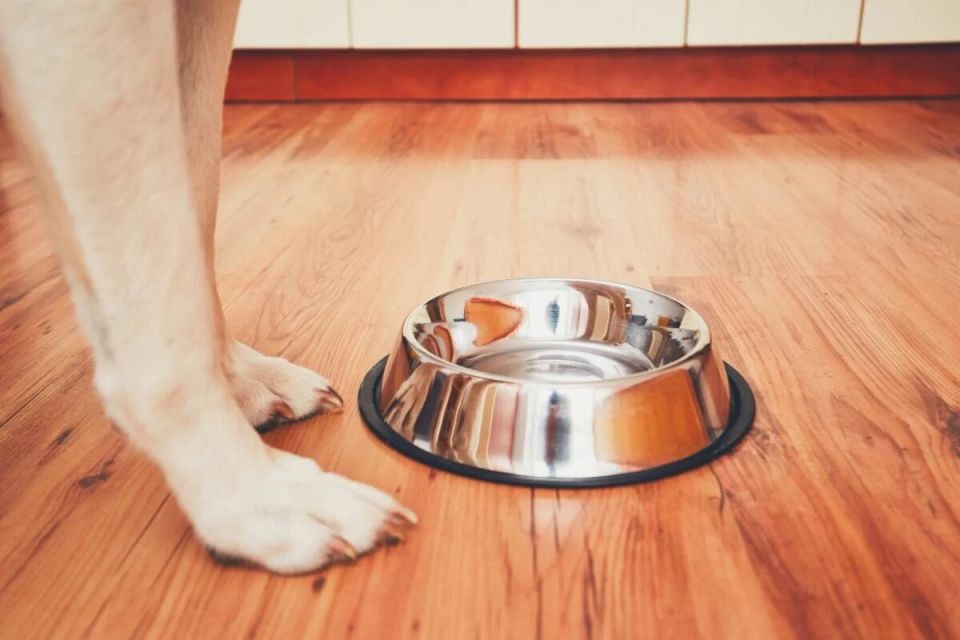 7 ������� ��� ����� ���������, ������� �� ����� ������� � ����