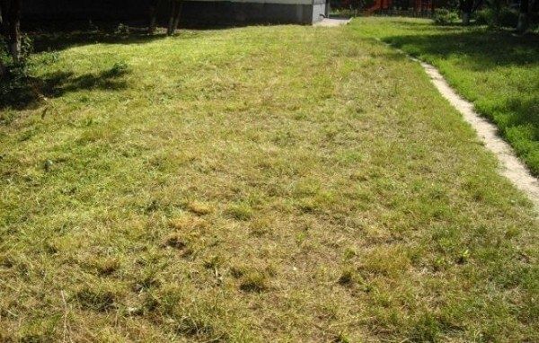 ������ ��� ����� ������ ����: ������� � �������