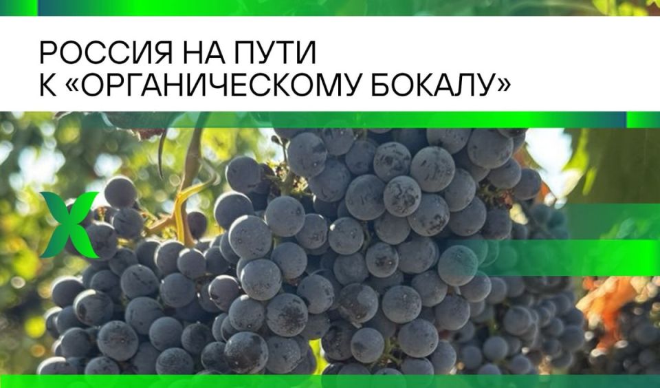 ������������ ��������� � ������: ����� ���� �������� � ������������ ���������