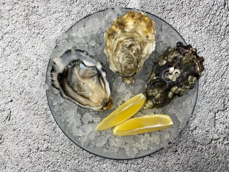 ������� Sp?ciale de Claire G: ���������� ����� ��������