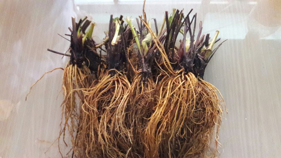 ������ ������� �������� �������� ������� �������� ������ �����