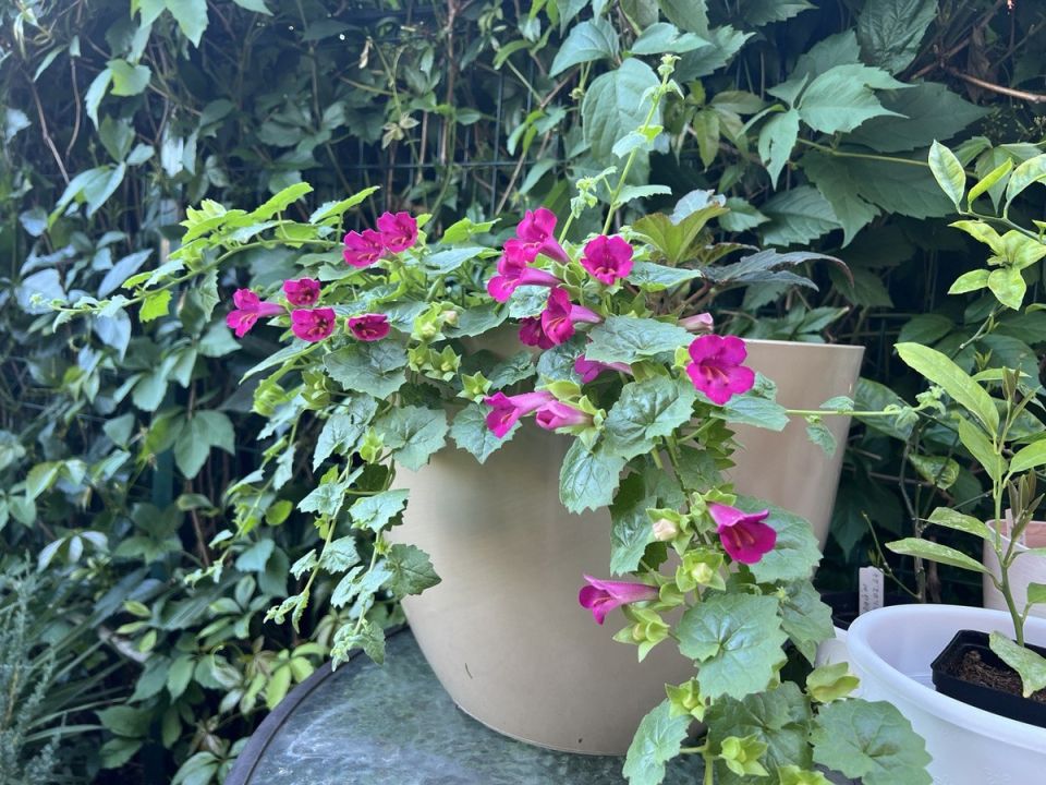 �����: ��������� ����� ��� ������ ������� � �����