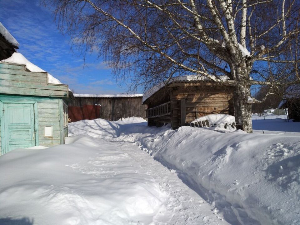 ������ �� ����: ��� ��� ������ �� ��� �������?